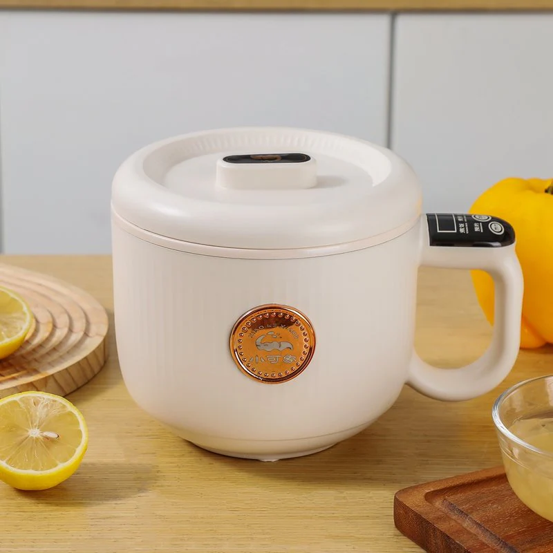 Compact All-in-One Electric Cooker