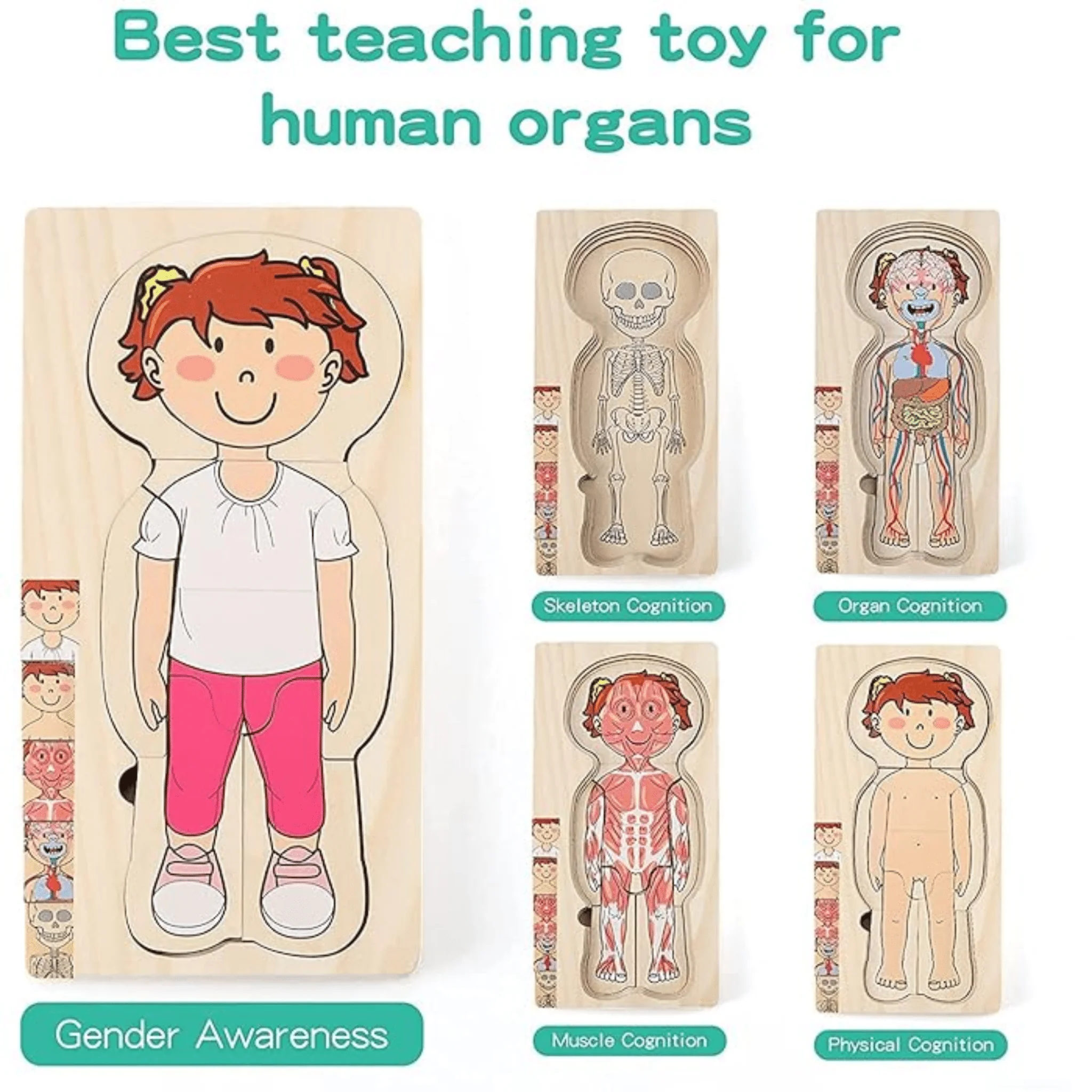 Educational Wooden Body Parts Puzzle - Image 4