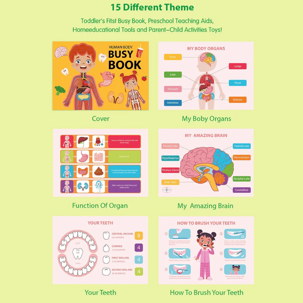 Human Body Education Interactive Learning Book - Image 4