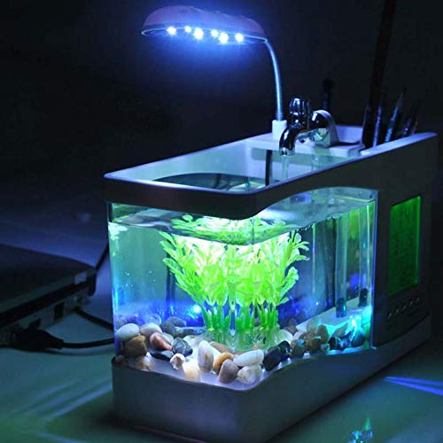 Mini Aquarium Fish Tank With LED Clock - Image 10