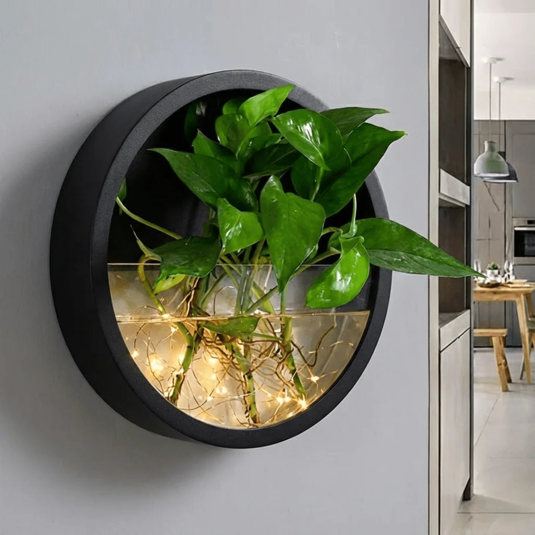 Modern Round Wall Mounted Planter for Hydroponic Plants(25cm) - Image 3