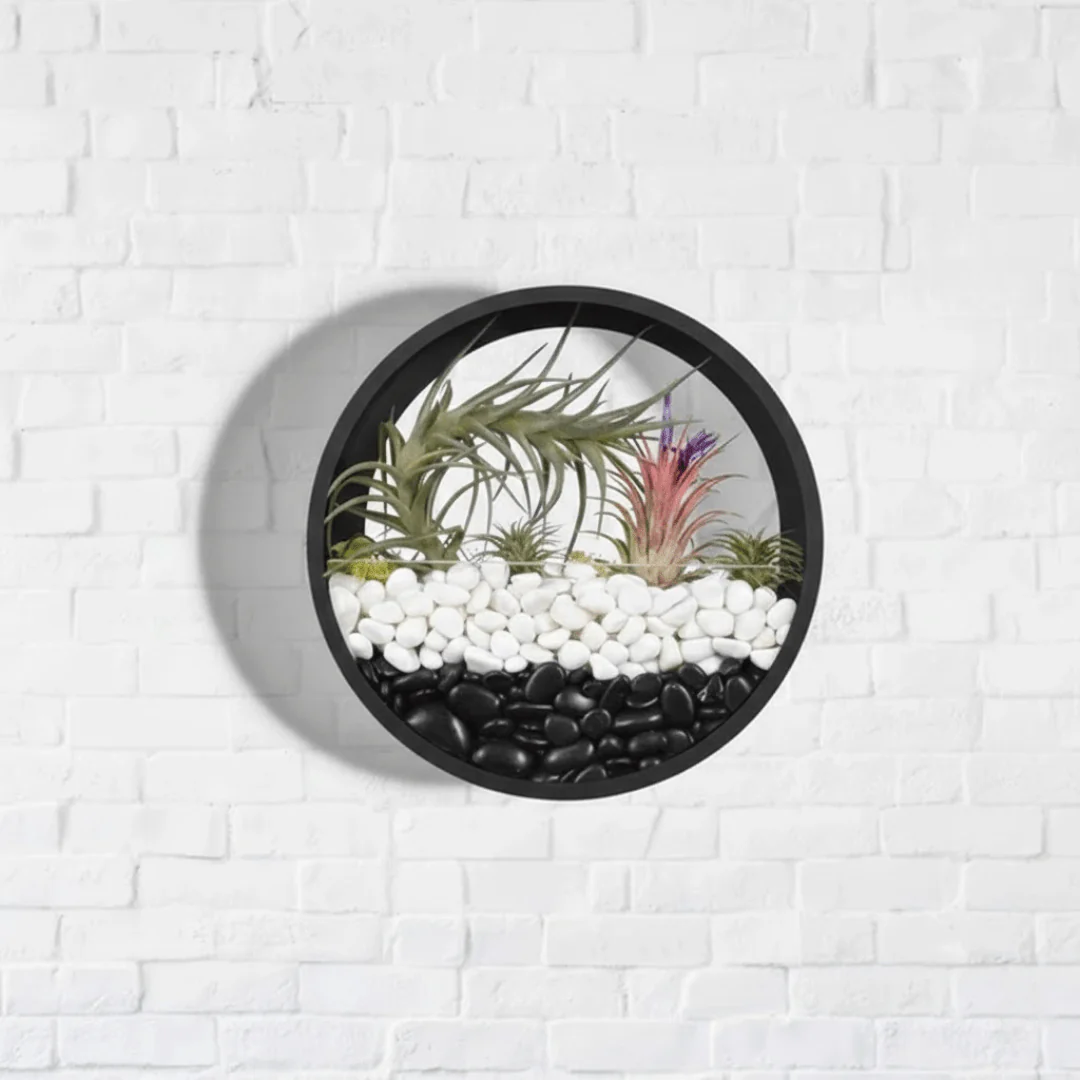 Modern Round Wall Mounted Planter for Hydroponic Plants(25cm) - Image 4