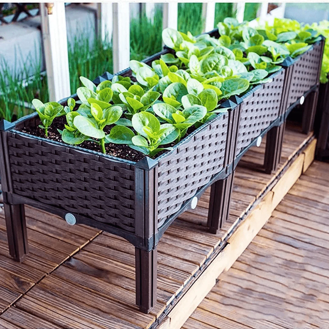 Plastic Balcony Vegetable Planting Garden Bed with Legs & Drainage Holes - Image 5