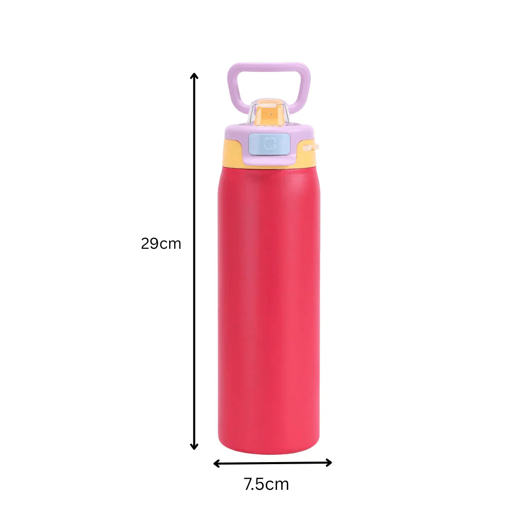 Stainless Steel Thermos Water Bottle with Leakproof Quick Fill Lid (950ML) - Image 8