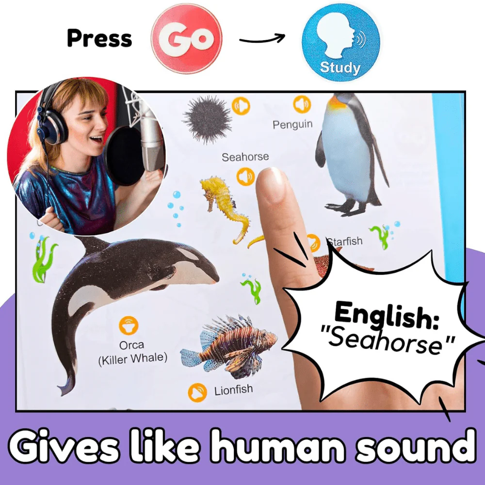 Talking Early Education Audiobook - Image 8